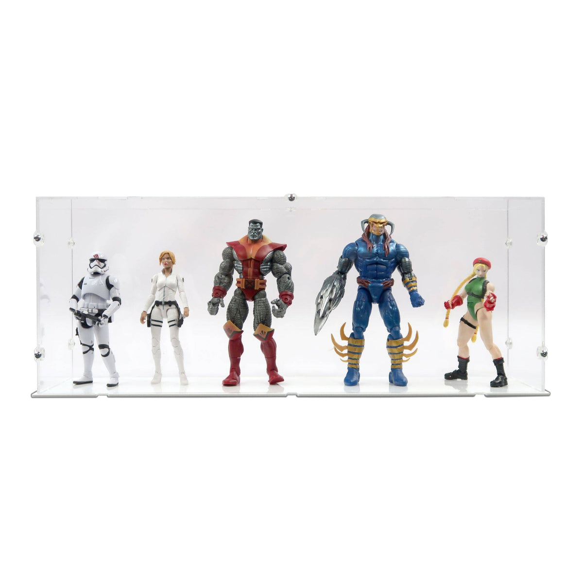 6 Inch Figure Display Case 2