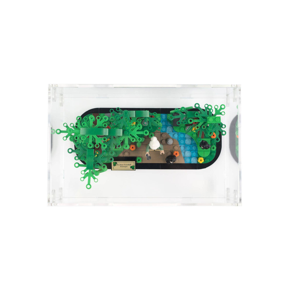 Jane Goodall Tribute Display Case for LEGO 40530