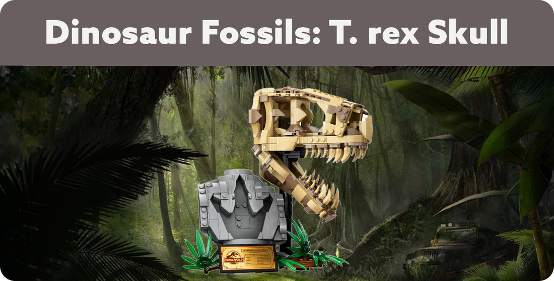 Dinosaur Fossils: T. rex Skull 76964
