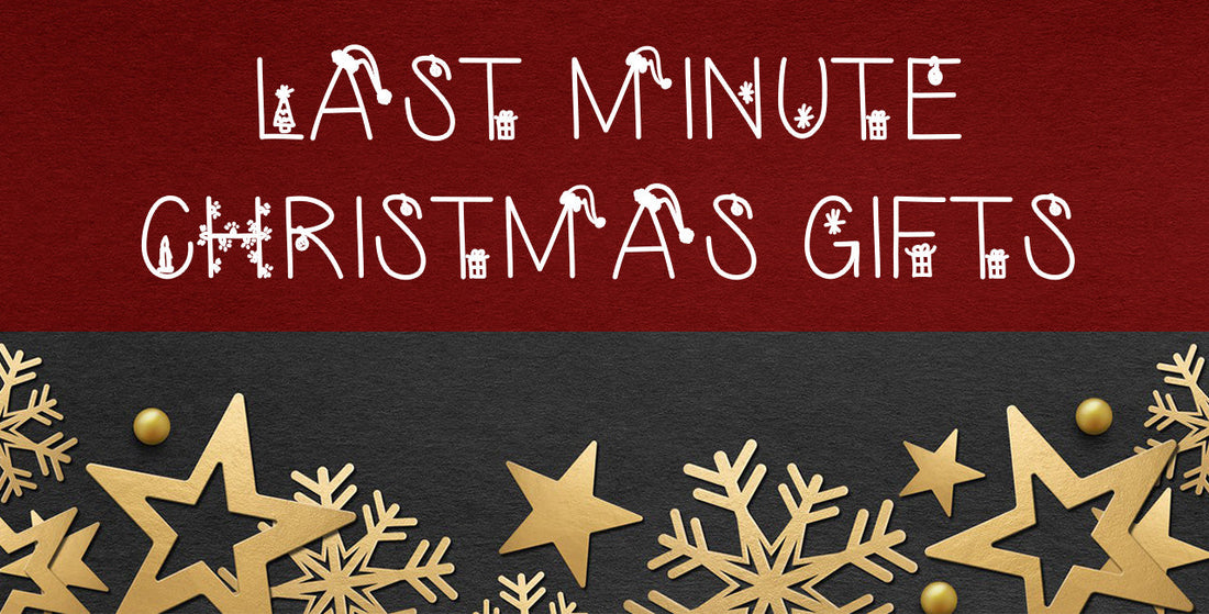 2022 Christmas Gift Ideas Fun