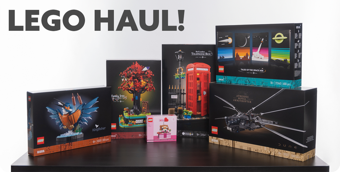 iDisplayit LEGO Haul – February 2024
