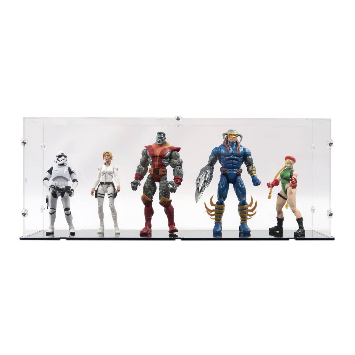 52 x 13 x 20cm Display Case