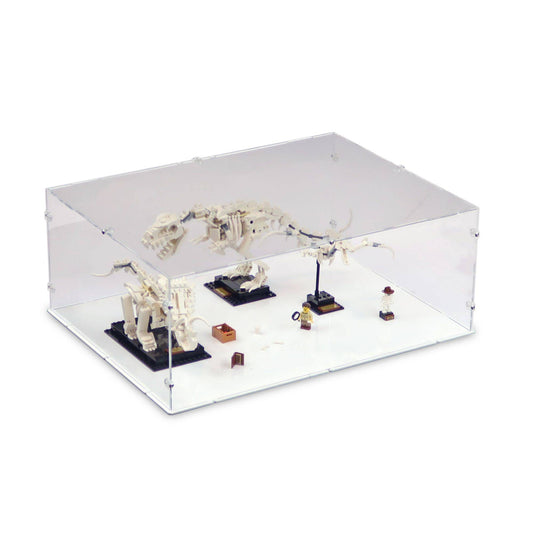 Dinosaur Fossils Display Case for LEGO 21320