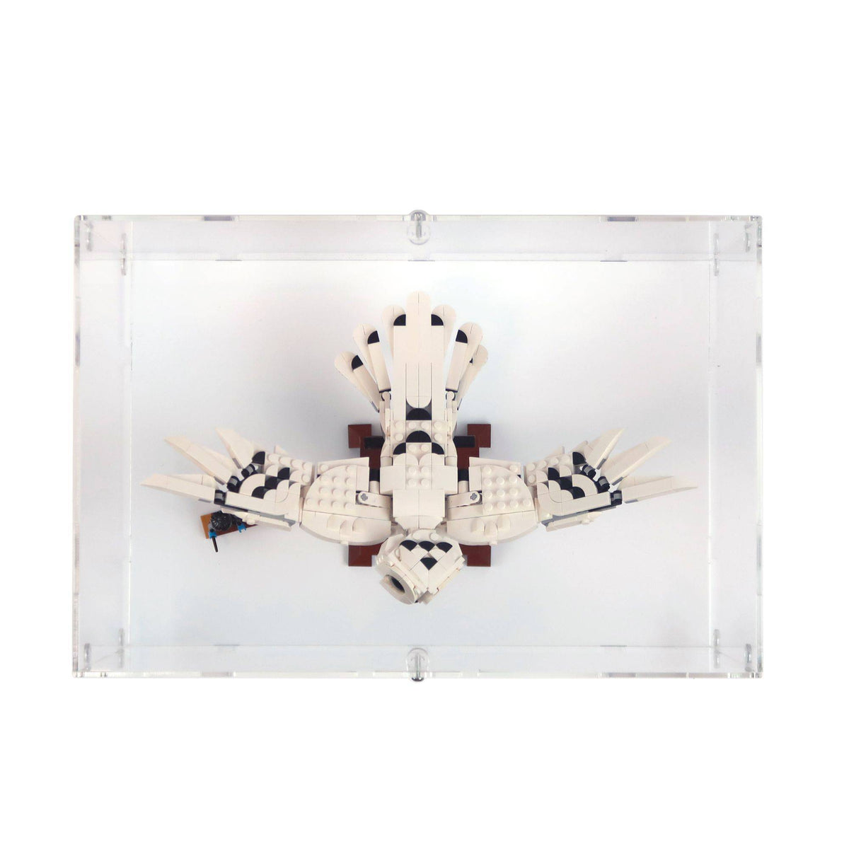 Hedwig Display Case for LEGO 75979