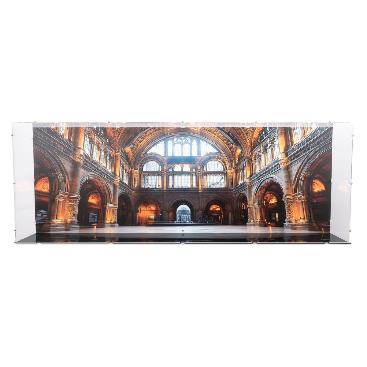 Dinosaur Fossils: Tyrannosaurus Rex Display Case for LEGO 76968