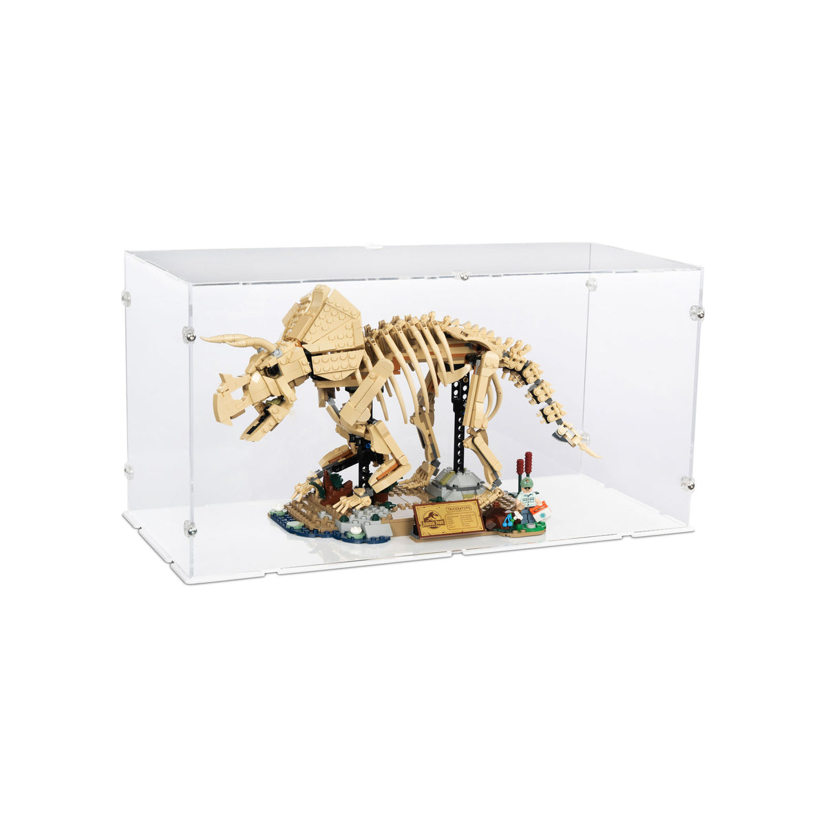 Dinosaur Fossils: Triceratops Display Case for LEGO 77985