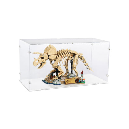 47 x 21 x 24cm Display Case