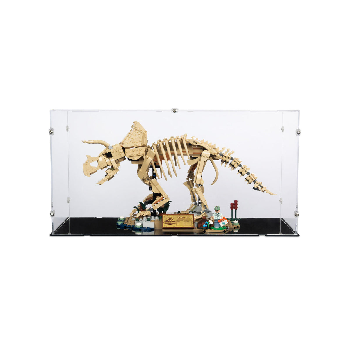 47 x 21 x 24cm Display Case