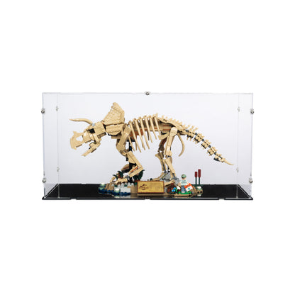 47 x 21 x 24cm Display Case