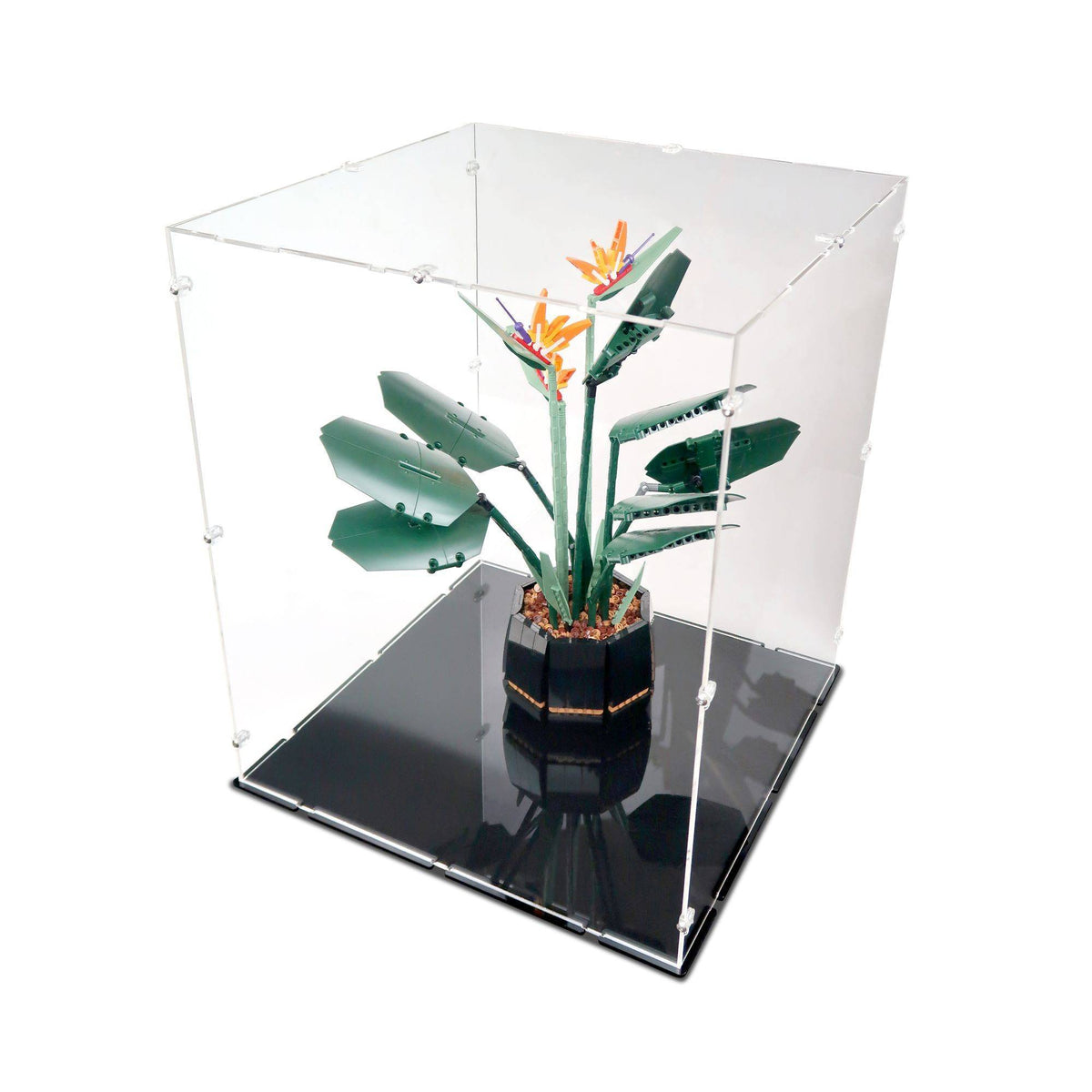 39 x 39 x 47cm Display Case