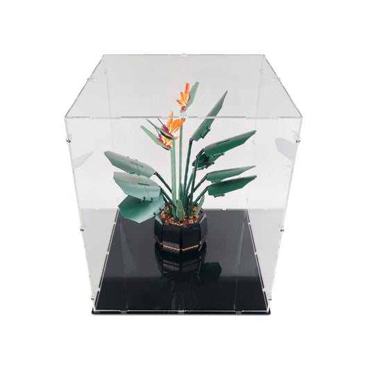 39 x 39 x 47cm Display Case