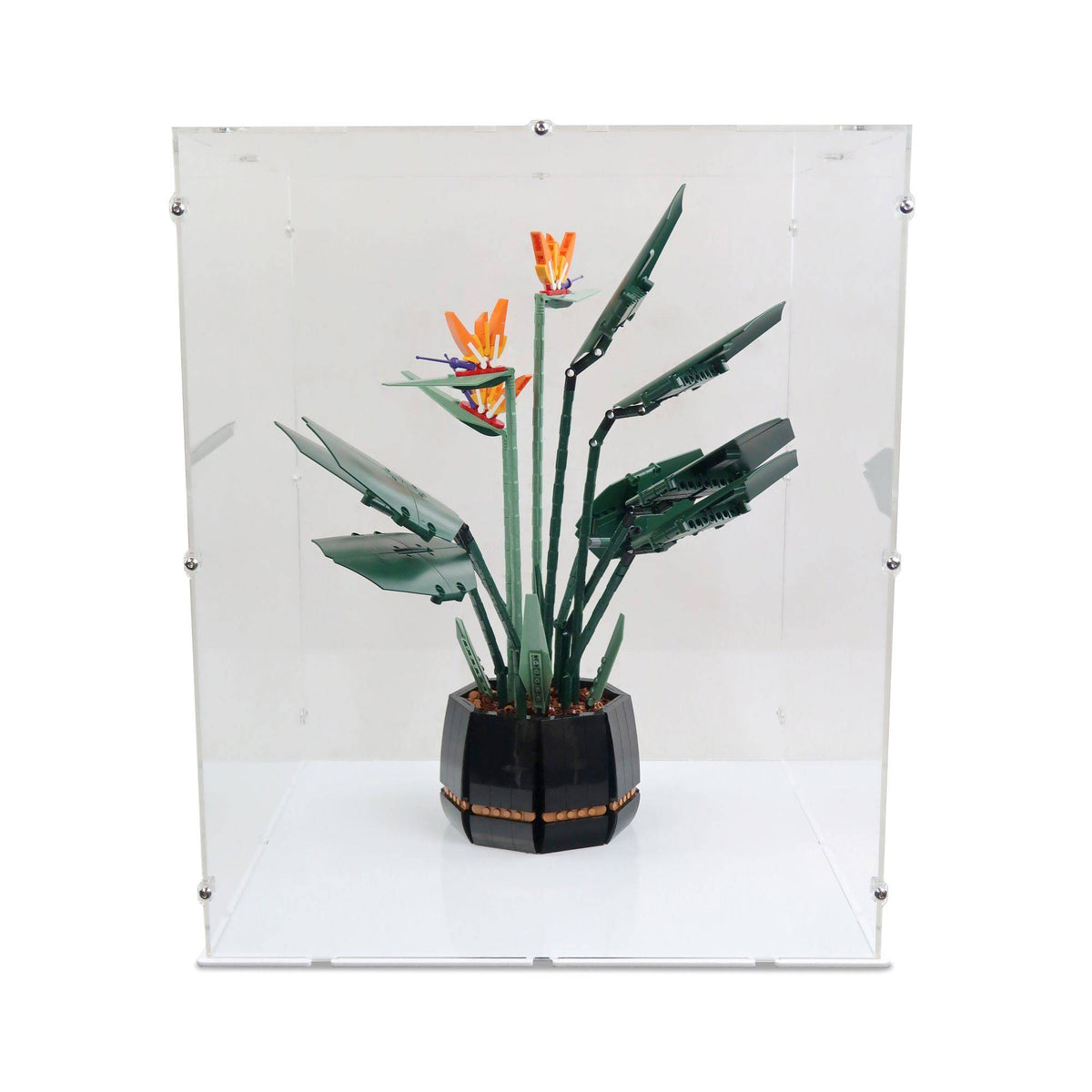 39 x 39 x 47cm Display Case