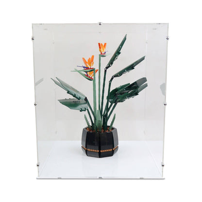 39 x 39 x 47cm Display Case