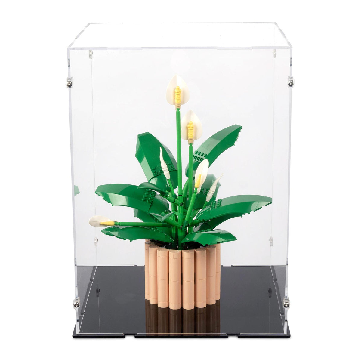 26 x 26 x 36cm Display Case