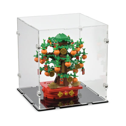 18 x 18 x 20cm Display Case