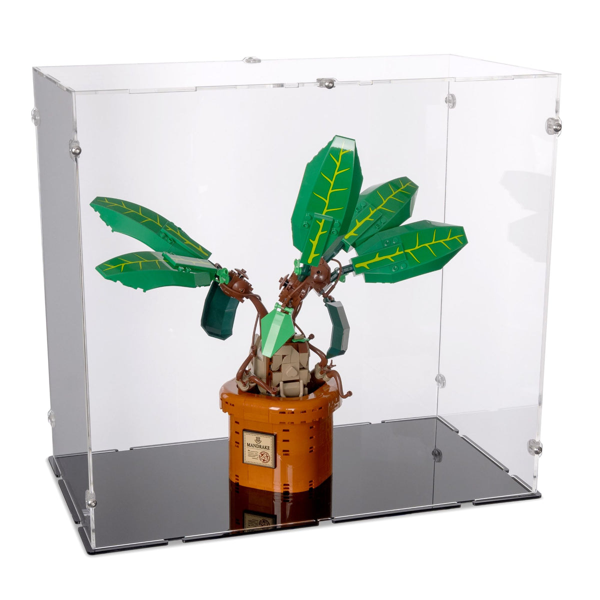39 x 21 x 36cm Display Case