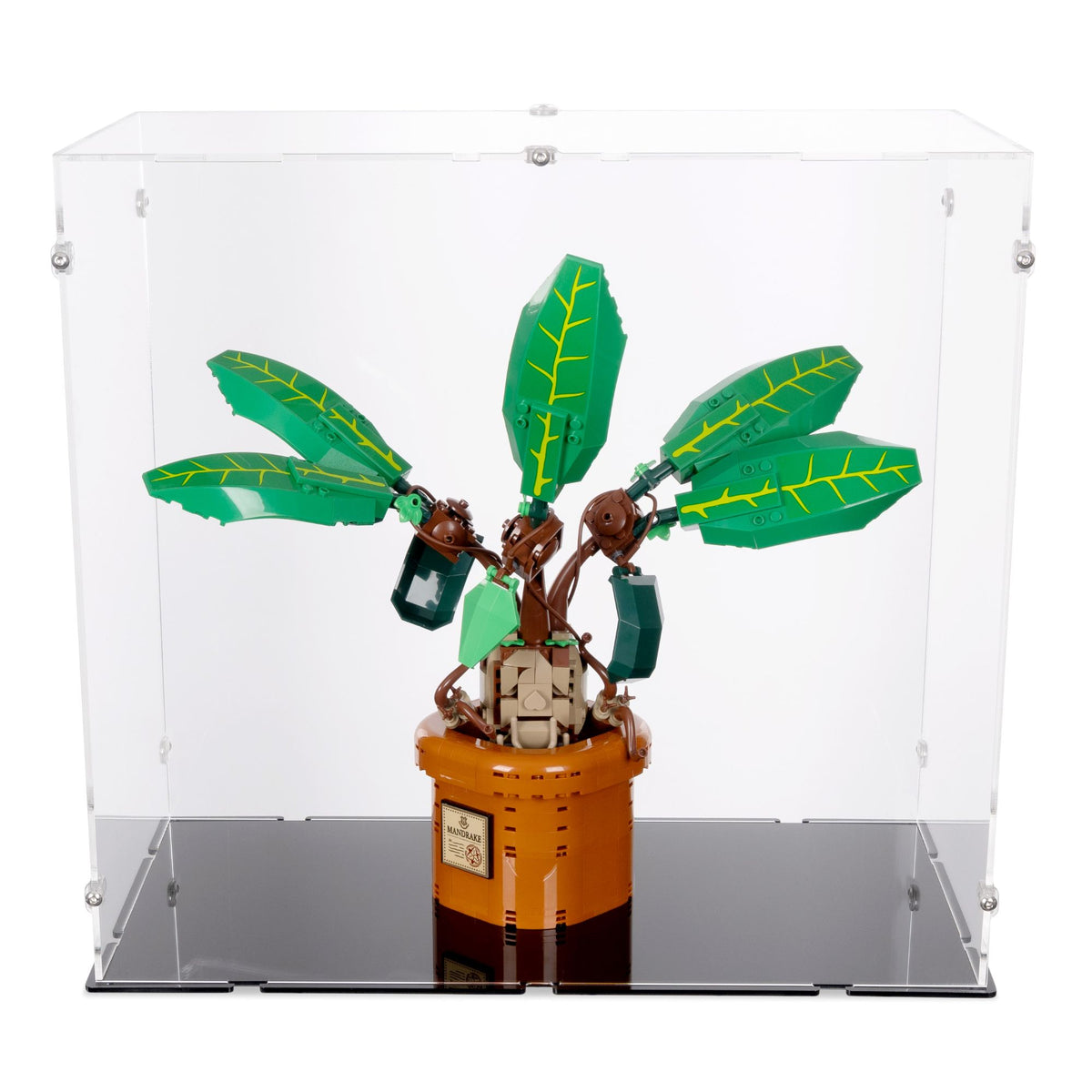 39 x 21 x 36cm Display Case