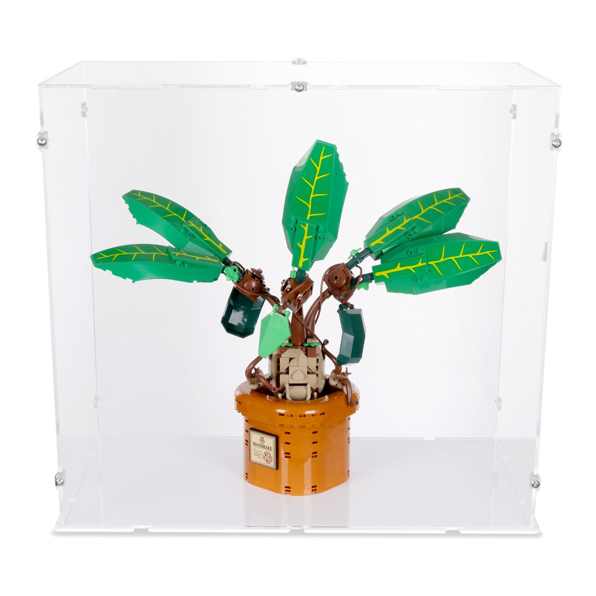 39 x 21 x 36cm Display Case
