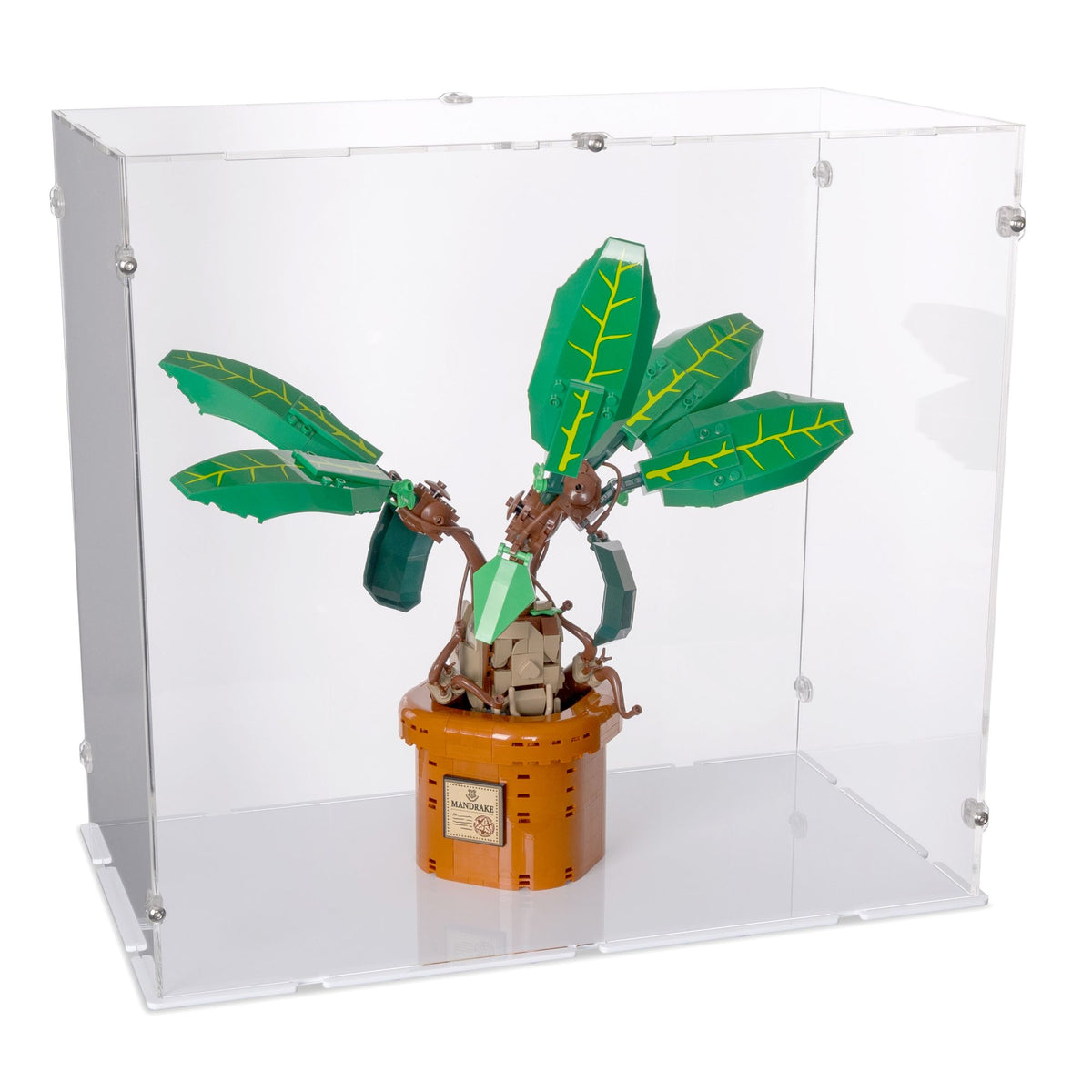 39 x 21 x 36cm Display Case