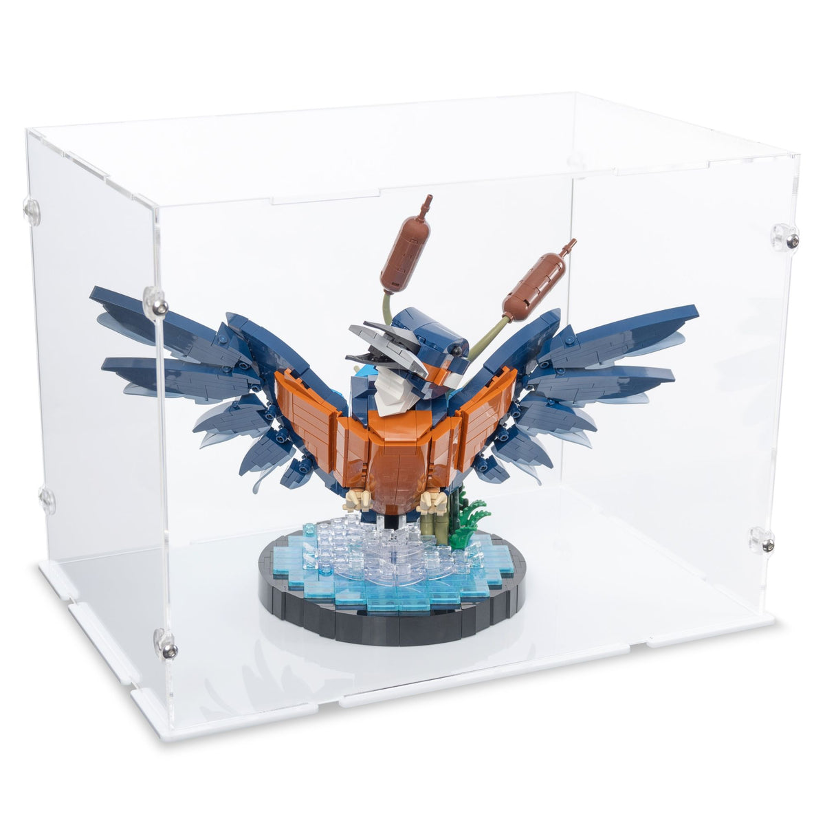 Kingfisher Bird Display Case for LEGO 10331