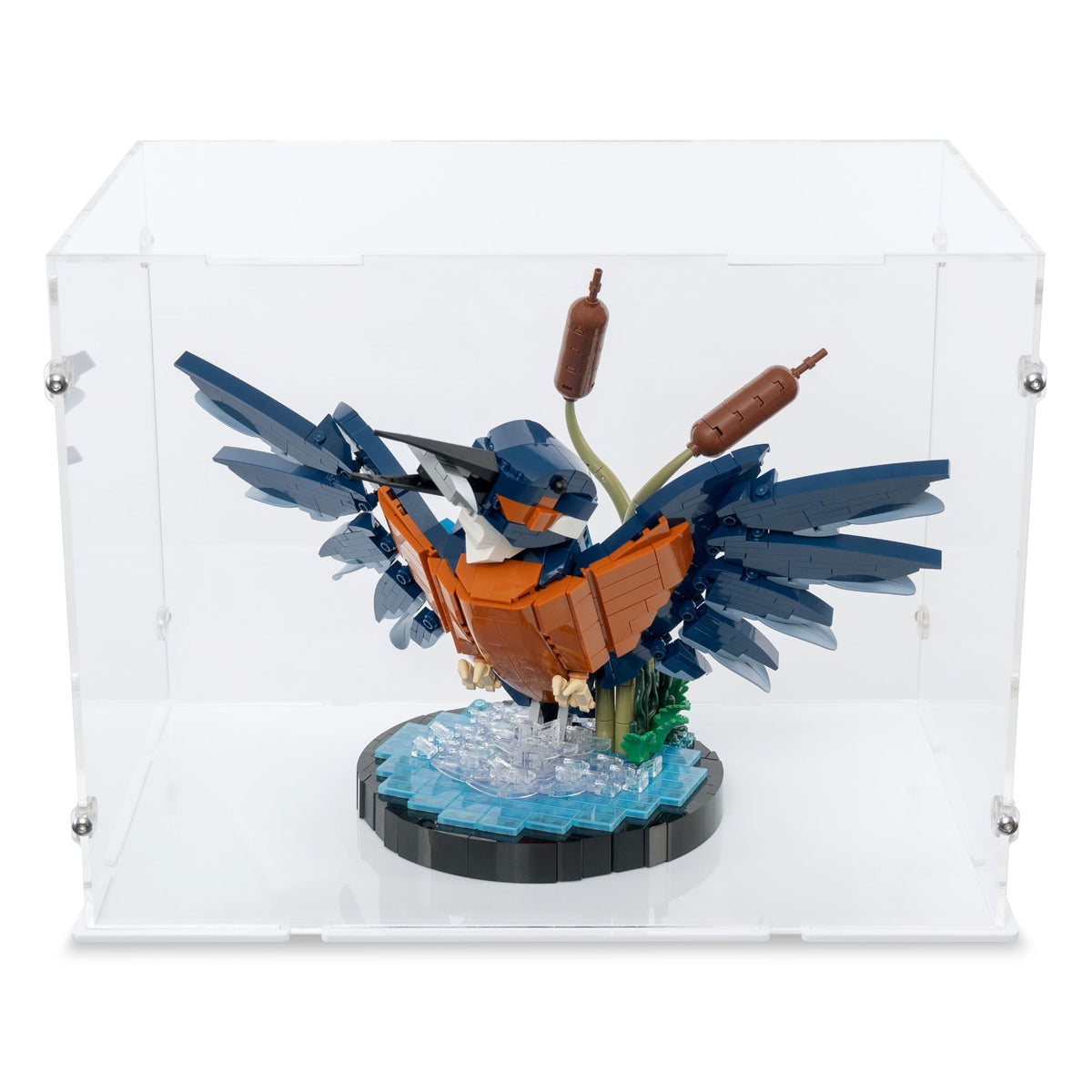 Kingfisher Bird Display Case for LEGO 10331