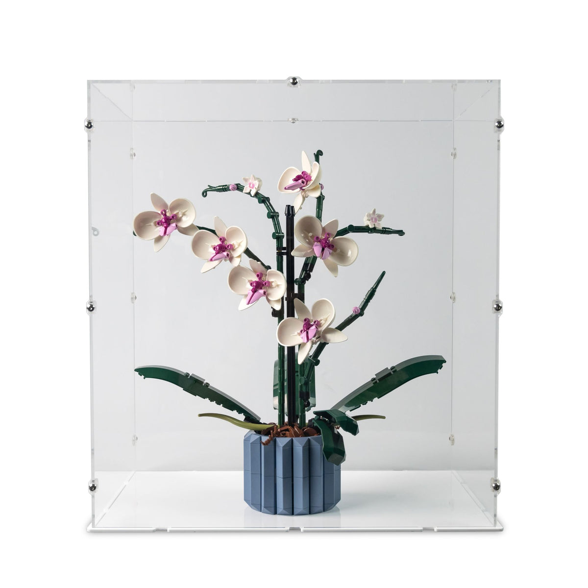 Orchid Display Case for LEGO 10311