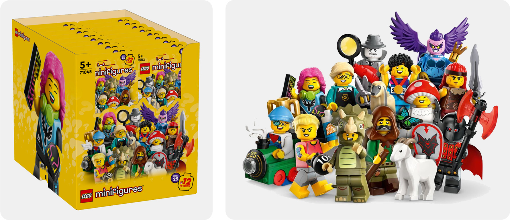 2 LEGO Icons Botanical Collection Sets Rumoured For January 2024
