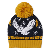 Harry Potter Beanie Hat 2022